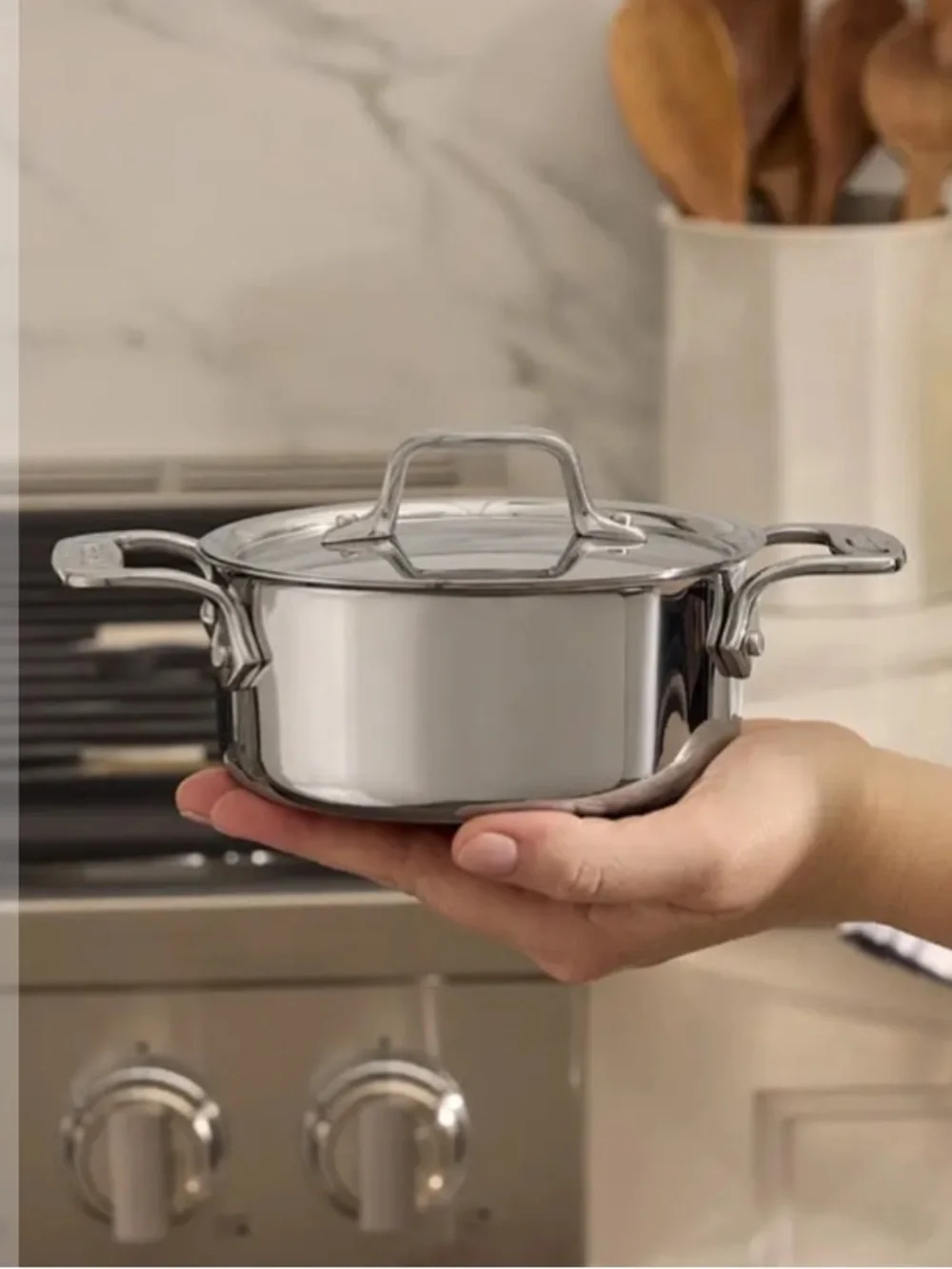 NWT All-Clad Stainless Steel Mini Dutch Oven Pot with Lid